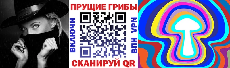 Псилоцибиновые грибы прущие грибы  Купить закладки  Щёкино 